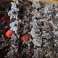 Pompa ad alta pressione Common Rail НURT Delphi 28384347 foto 4