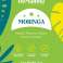 Moringa Oleifera pulveris - 10 kg vairumtirdzniecība attēls 3