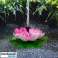 Solar fountain in the shape of a lotus SOLOTUS image 1