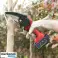 Cordless hand saw BRENCHIE image 1