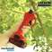 Ciseaux électriques WHIZZPRUNER rouge photo 1