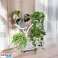Blomsterstativ, hylde, metal blomsterstativ på hjul 50x25x80cm SZ43B billede 2