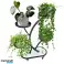Blomsterstativ, hylde, metal blomsterstativ på hjul 50x25x80cm SZ43CZ billede 2
