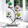 Blomsterstativ, hylde, metal blomsterstativ på hjul 50x25x80cm SZ43CZ billede 3