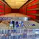 Red Bull Energy Drink Angebot - Opportunity Restposten Getränke Bild 1