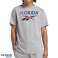 Reebok t-shirt męski szary bawełna Logo Florida 100206434 zdjęcie 1