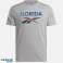 Reebok t-shirt męski szary bawełna Logo Florida 100206434 zdjęcie 2