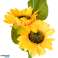 Luces Solares Decorativas de Jardín Girasol Rebelde fotografía 3