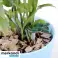 Clipes clipes para plantas 108 pcs. Gardlov 22586 foto 1