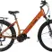 T-Bird Golden Gate E-Bike, Търговия на едро картина 3