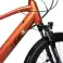 T-Bird Golden Gate E-Bike, Търговия на едро картина 1