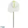 Countryfield Fleur Artificielle Anthurium 67 cm couleurs variées blanc / vert / rose / multicolore 58 cm photo 6