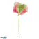Countryfield Fleur Artificielle Anthurium 67 cm couleurs variées blanc / vert / rose / multicolore 58 cm photo 4