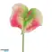 Countryfield Fleur Artificielle Anthurium 67 cm couleurs variées blanc / vert / rose / multicolore 58 cm photo 5