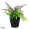 Plante de lavande artificielle en pot 24 cm 3 assortis photo 1