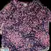 Ropa Usada Talla GRANDE XXL USA Talla Grande Grado 1 Mujer Hombre 25 kg fotografía 4