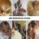 Hev tilbudene dine med våre Clip In Ponytail Hair Extensions!  Askeblond krøllete variasjon bilde 1