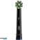 ORAL-B Cross Action EB50BK Spitze SCHWARZ Bild 2