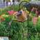REGADERA DE LÁMPARA LÁMPARA SOLAR DECORACIÓN DE JARDÍN LED MARTILLADO EN JARDÍN PARA TERRAZA fotografía 1