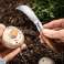 Couteau de jardin et champignon en forme de faucille photo 5