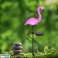 Napelemes kerti lámpa Flamingo kép 4