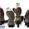 Dekorative LED-Solarleuchte Eagle Bild 3