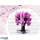 Maaginen Sakura-puu kuva 1