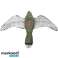 Vogelabwehr Bild 3