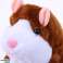 Hamster parlant interactif Talkinghamster marron photo 3