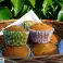 Moule 12 muffins 35x27cm 12 tasses photo 2