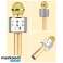 Kablosuz Karaoke Mikrofonu WS 858 Gold fotoğraf 2