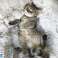 Lit chien en fourrure 60cm gris photo 3