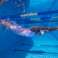ARENA TEAM DAME POWERSKIN PRIMO LE SL OB FIREFLOW 008680/950 UK24LT bilde 6
