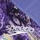 SPEEDO DAME STARTDRAKT LZR IGNITE KSKN AFMIAMI SYRIN/SPRITZ/FIOLETT 8 13437H574 28 bilde 5