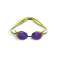 ARENA SUNGLASSES PYTHON MIRROR VIOLET PLUM ARTIC LIME 1E763/122 image 1