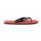 ARENA FLIP FLOP CALYPSO KORALLE 002309/403 36 Bild 2