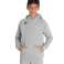 ΦΟΎΤΕΡ ARENA JR TEAM HOODED ΠΆΝΕΛ ΙΔΡΏΤΑ ΜΕΣΑΊΟ ΓΚΡΙ ΕΡΕΊΚΗ 004919/550 10 11 140 εικόνα 2