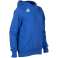 ARENA SWEATSHIRT JR TEAM HOODED SWEAT PANEL ROYAL 004919/800 10 11 140 nuotrauka 6