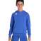 ARENA SWEATSHIRT JR TEAM HOODED SWEAT PANEL ROYAL 004919/800 10 11 140 nuotrauka 5