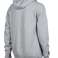 ARENA HOODED SWEATSHIRT LOGO MEDIUM GREY HEATHER 005335/550 XXL image 6
