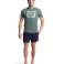 ARENA SOLID COTTON SAGE ZEBRA T-SHIRT 006390/600 M image 2