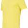 CAMISETA ARENA M PERFORMANCE BÁSICA SOFT_GREEN 1D214/61 L fotografía 3
