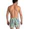 ARENA PANTALÓN CORTO HOMBRE BERTITO PLAYA VERDE CUARZO 007159/601 M fotografía 1