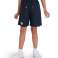 ARENA SHORTYJR TEAM BERMUDA PANEL NAVY 004920/700 10 11 изображение 3