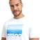 ARENA KOSZULKA T-SHIRT FÖR MÄN SOLID BOMULL VIT HAV 006390/107 S bild 3