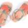 IPANEMA SANDALEN MEINE ERSTE IPANEMA BABY BEIGE GRÜN ROSA 81997 AG198 25/26 Bild 1