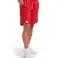 ARENA SHORTS TEAM BERMUDA PANEL КРАСНЫЙ 004907/400 XL изображение 2