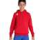ARENA SWEATSHIRT JR TEAM HOODED SWEAT PANEL RED 004919/400 10 11 140 image 4