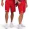 ARENA SHORTS TEAM BERMUDA PANEL RED 004907/400 M image 1
