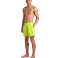 ARENA МУЖСКИЕ ПЛЯЖНЫЕ БОКСЕРЫ ARTIC LIME МАНГРОВЫЕ ШОРТЫ 009102/663 XXL изображение 2